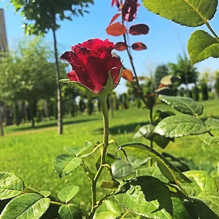 Sunny Holiday דירה סאני ביץ'
